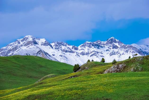 SAO虎在线精品永久观看入口 推送相关的久观精品动漫