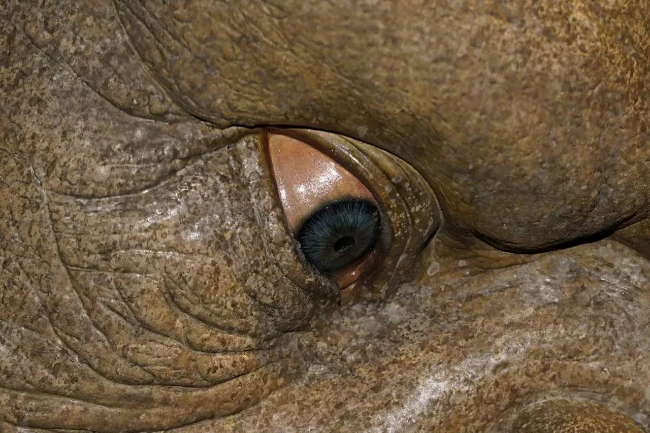 动漫小视频 我可以给你更具体的推荐