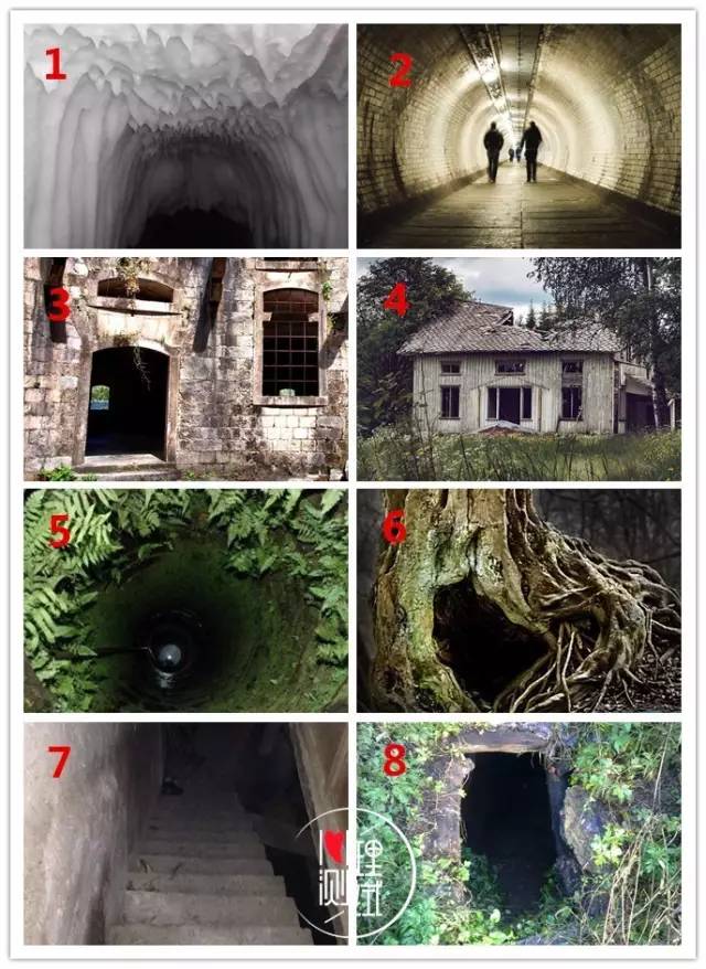 国产在线精品 国产专业性和文化共鸣