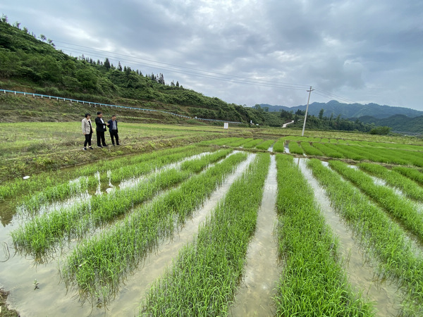 site ifana cc 里 番 动 漫 