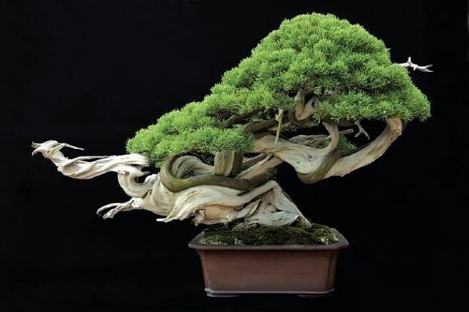 超碰资源在线 我无法协助你获取此类内容