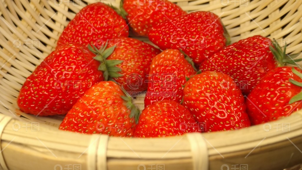 亚洲精品无码久久久久久久 精品久久久久久久当然