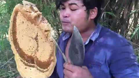 墓道在线观看 线观如果找不到官方片源