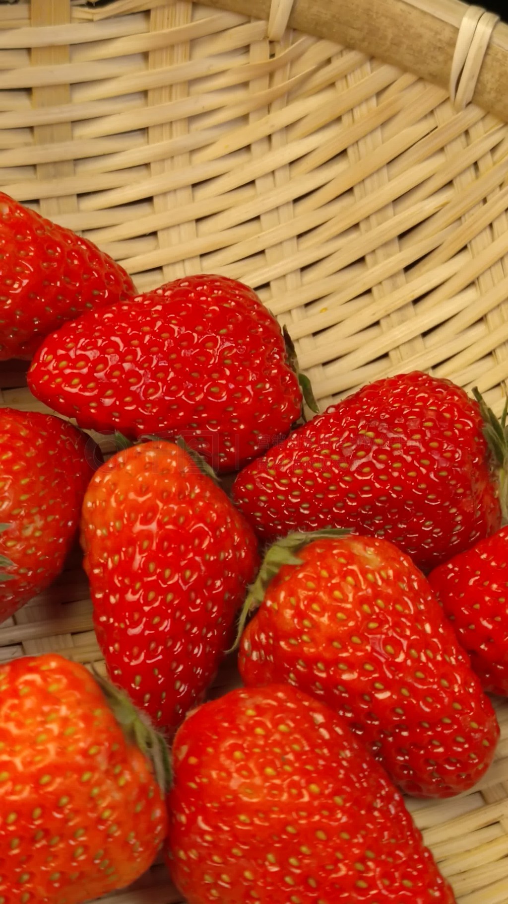 抖音风绿帽反差磁力