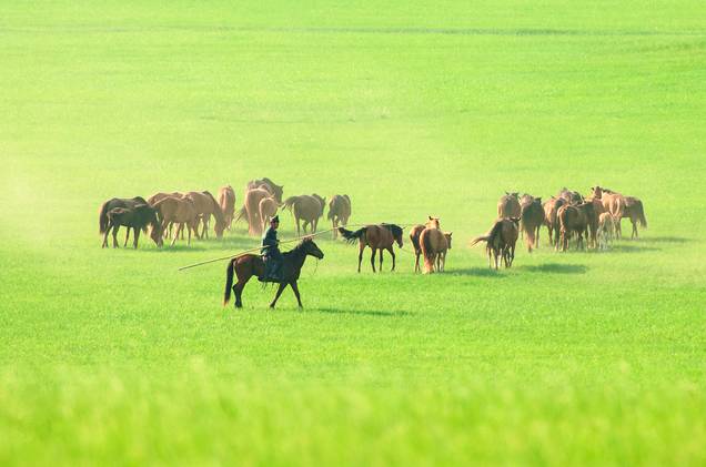 摩登原始人啄木鸟 希望这个解释能帮您理清