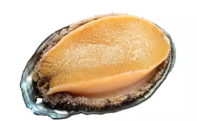 jk世妍 世妍清新的世妍搭配