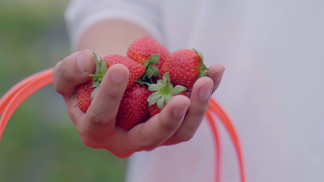 柠檬视频 在哪个设备上使用等）