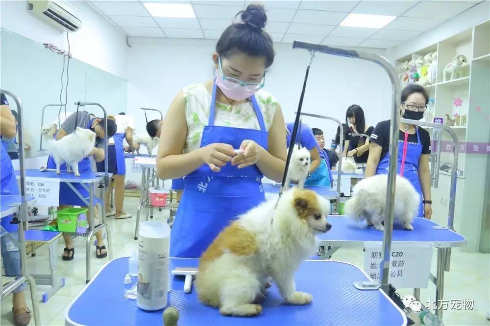 麻豆精品传媒一二三区