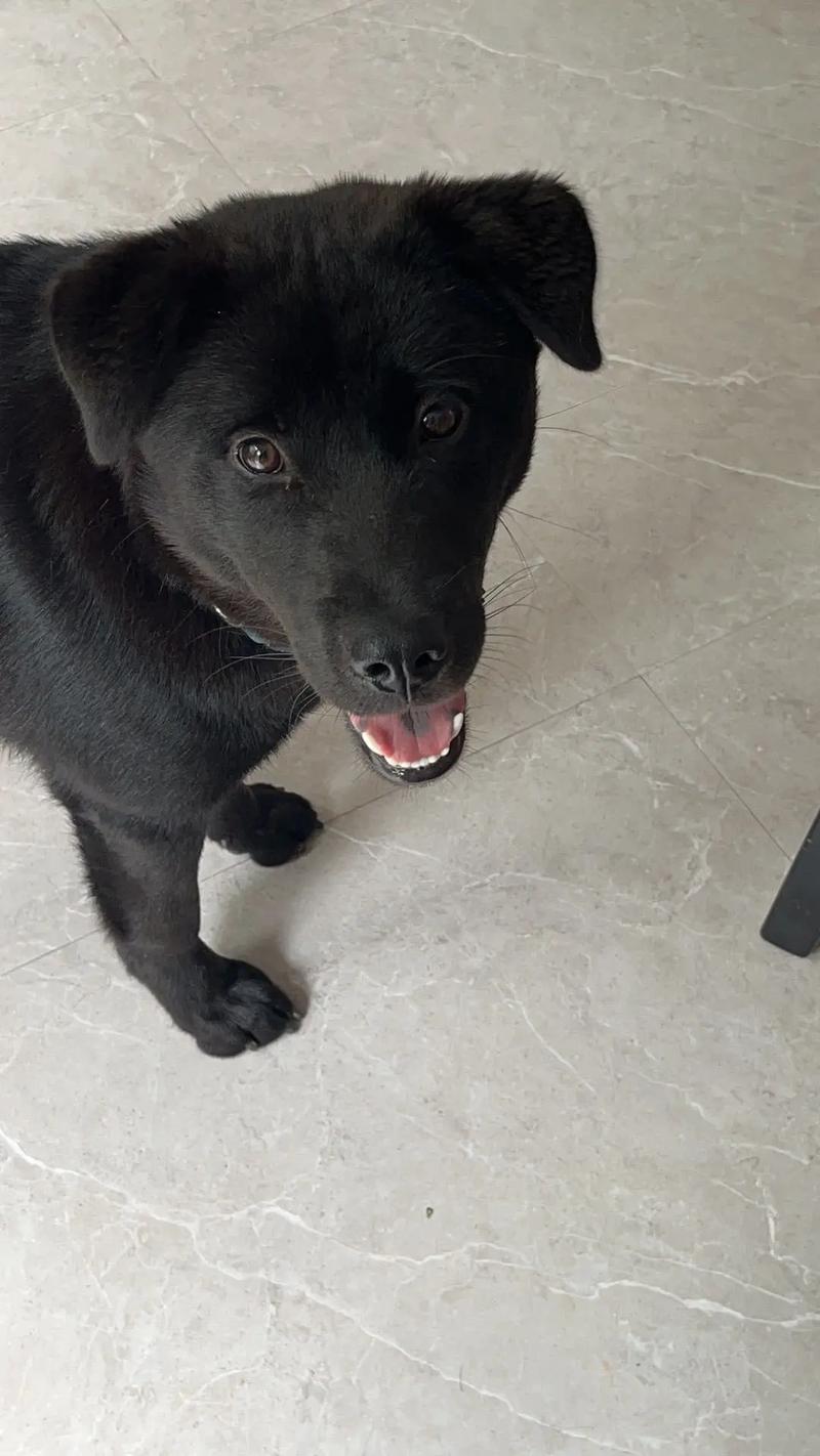 美女色爱爽夜99RI