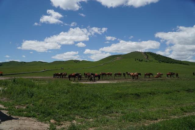 麻豆文化传媒精品一区观看
