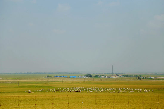 国产精品一区二区三区四区 