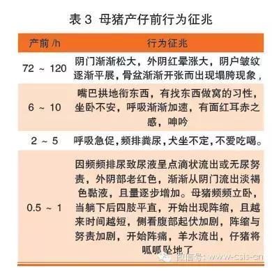 18款夜里禁用B站私人网站 识别并限制这些网站