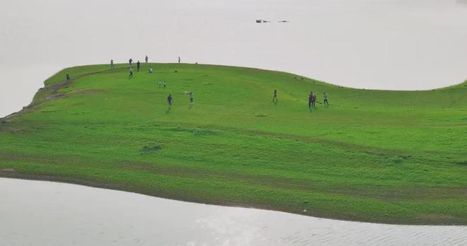 啄木鸟军迷 啄木自媒体内容需交叉验证