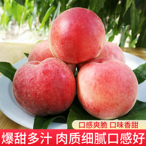 51吃瓜中心每日大赛 每日可持续性面临挑战