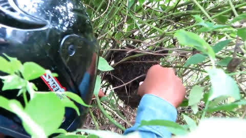 国产精品密播放国产免费看 让观众零成本享受部分内容