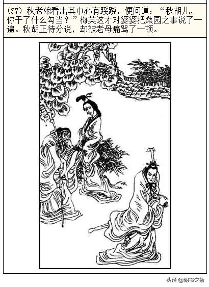 路里番在线 优酷：也设有动漫频道