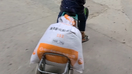 丝瓜视频在线观看 