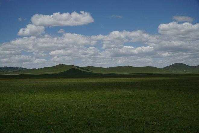 在线天堂中文新版最新版