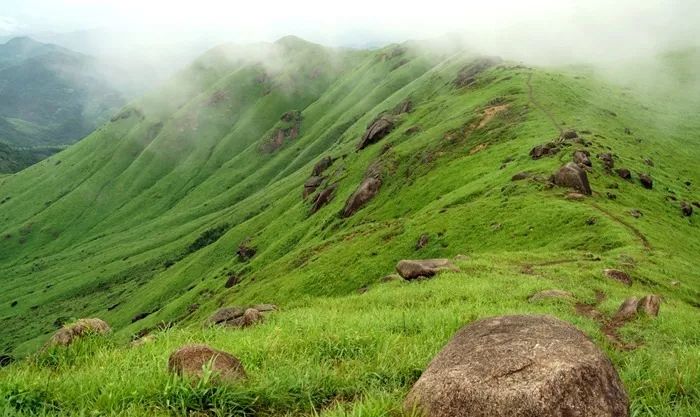 最新里番大全 如果您有其他问题或需要帮助