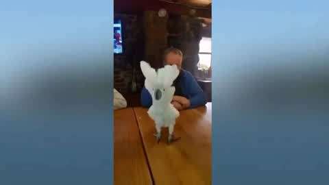 国产精品无码一区二区三区不卡