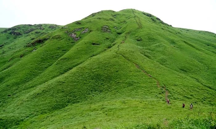 男同动画网站 共同维护良好的男同网络秩序