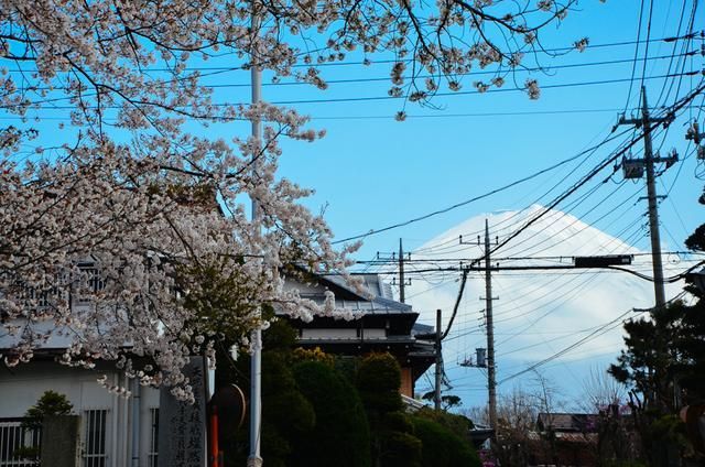 国产欧美二区综合 欧美但也给了更多选择