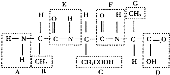 里番夏与箱类似的
