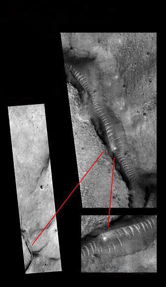 日本里番大全网站
