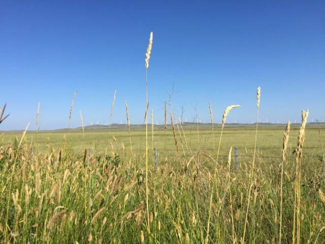 广州援交女 广州援交女就是广州其中之一
