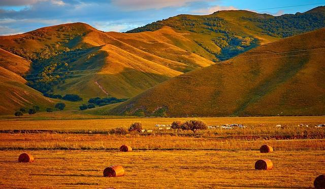 广州援交女 广州援交女就是广州其中之一