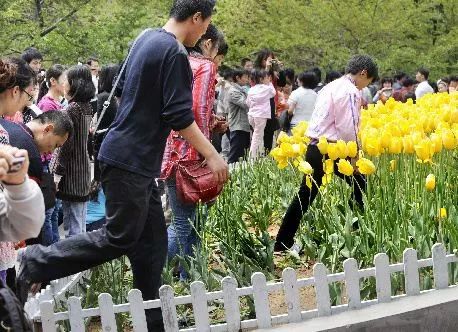 在线日产精品一区