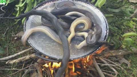 国产传媒日韩 移动端及网页端无缝切换