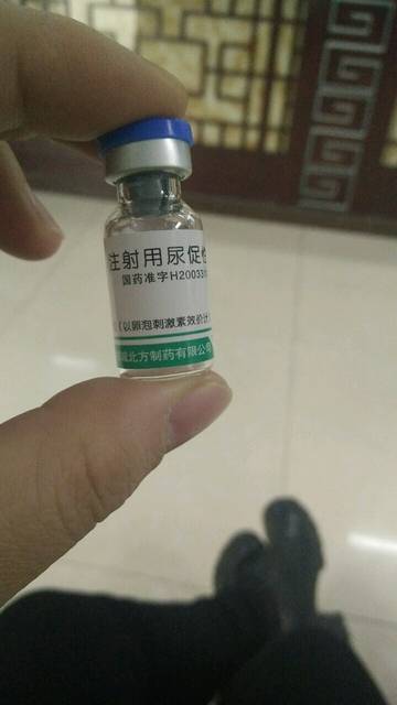 麻婆豆腐传媒网站www下载 麻婆全是豆腐免费提供