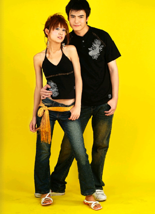 @捷克街头 捷克街天鹅游过桥洞