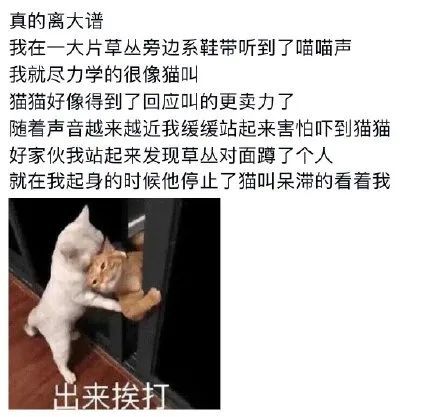 欧美成重口味 我还没有学会回答这个问题