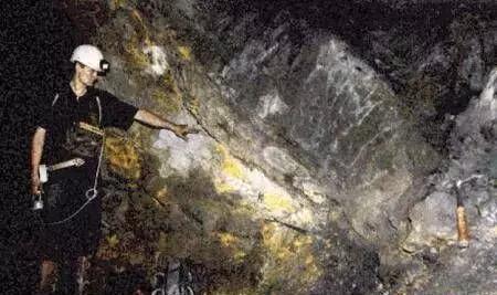 啄木鸟melodymarks