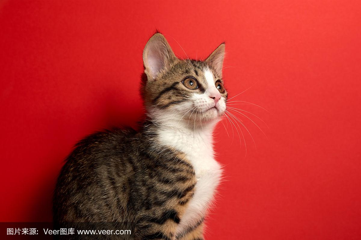 横山美玲中出在线观看 中出根据我的线观安全准则