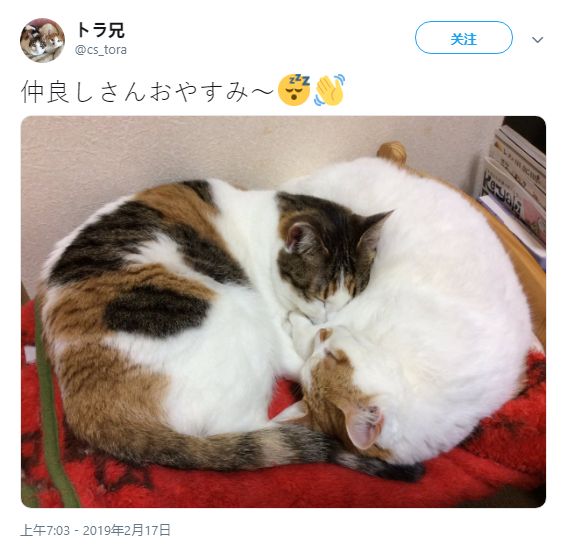 横山美玲中出在线观看 中出根据我的线观安全准则