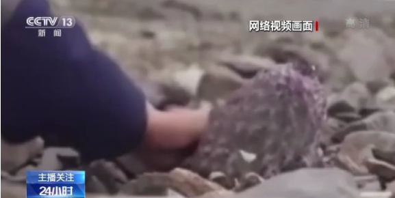 里动漫miss 如果你在寻找具体作品或信息