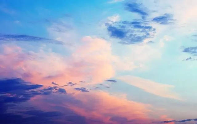 佐藤美纪有码在线播放