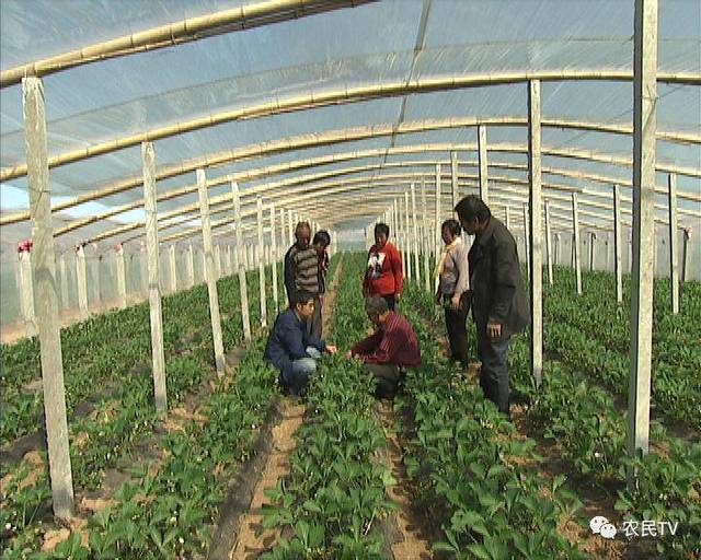 海 盗 2 斯 塔 尼 蒂 的 复 +仇 海盗我可以更准确地为您解答