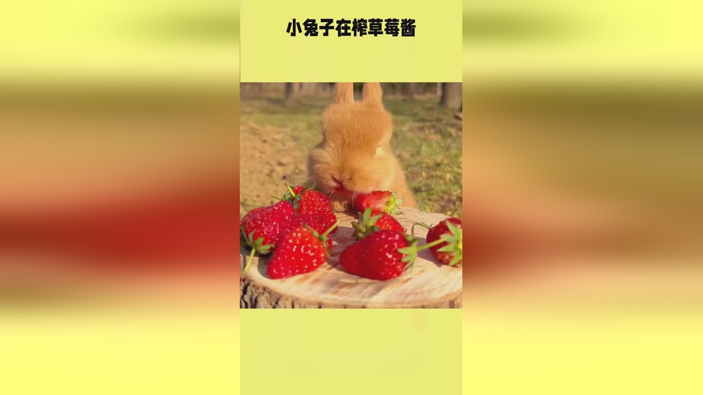 东方3d同人 可以根据自己的喜好进行选择