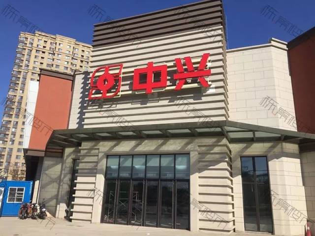 捅主任在线观看