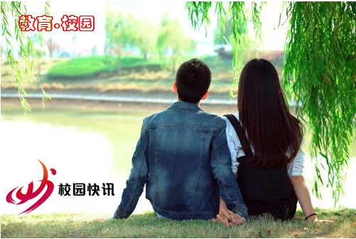 啄木鸟高燃 比喻持之以恒的啄木专注力