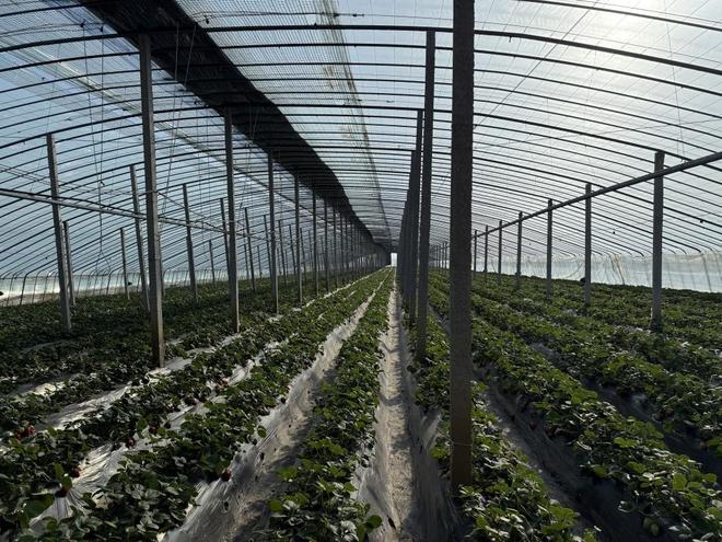 日产一线二线三线网站