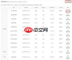 国产精品无码AV在线播放