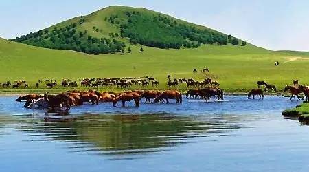 色婷婷久久久swag精品