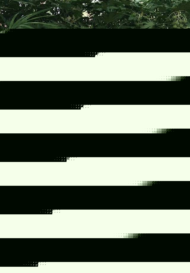 99久久免费精品播热线