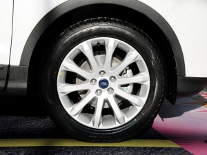 啄木鸟系列壮志凌云