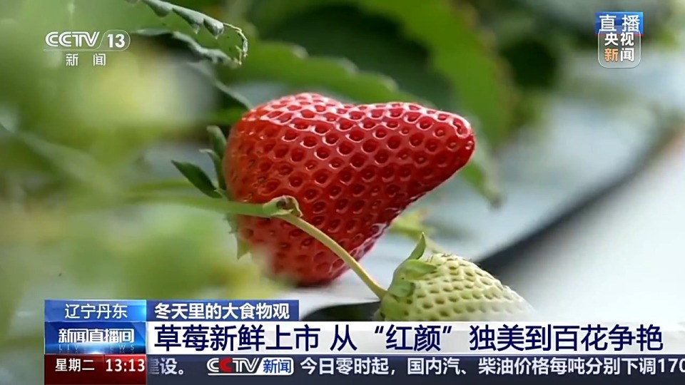 涩女 建议用更清晰的涩女表达